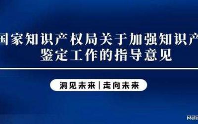 中共中央办公厅国务院办公厅印发《关于强化知识产权保护的意见》